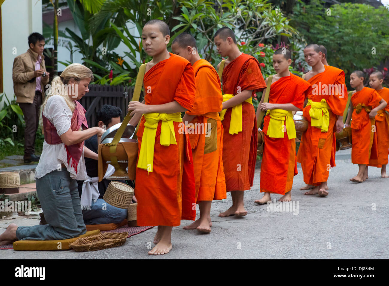 Alms cerimonia di consegna a Luang Prabang, Laos Foto Stock