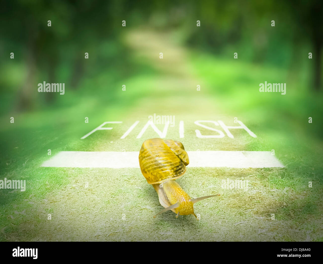 Snail andando oltre la linea del traguardo, Concept Foto Stock