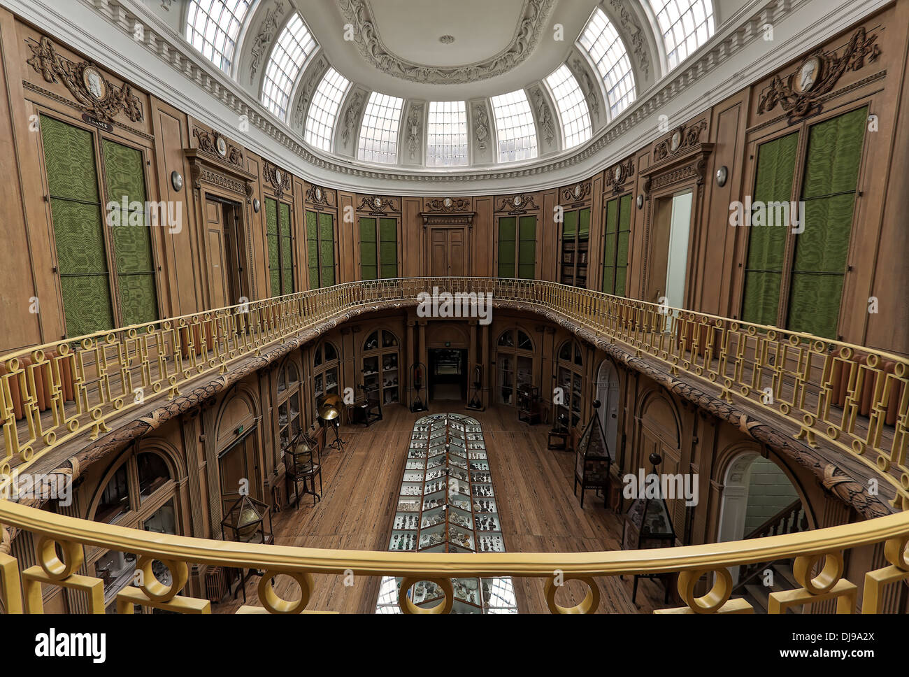 La sala ovale al Teylers Museum di Haarlem, Olanda Settentrionale, Paesi Bassi. Foto Stock