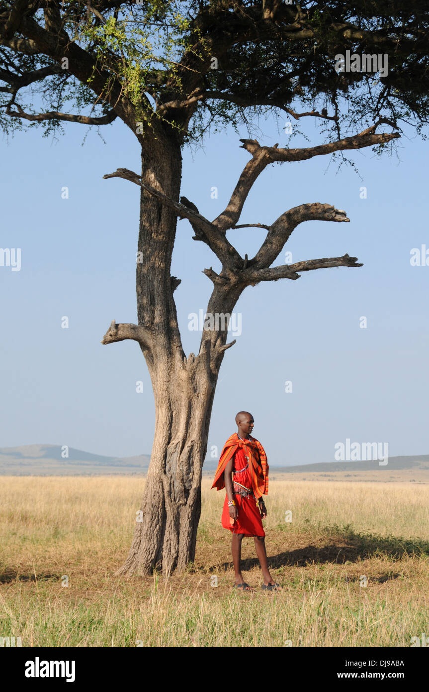 Tribù Masai, il Masai Mara riserva nazionale, Kenya, Africa orientale Foto Stock