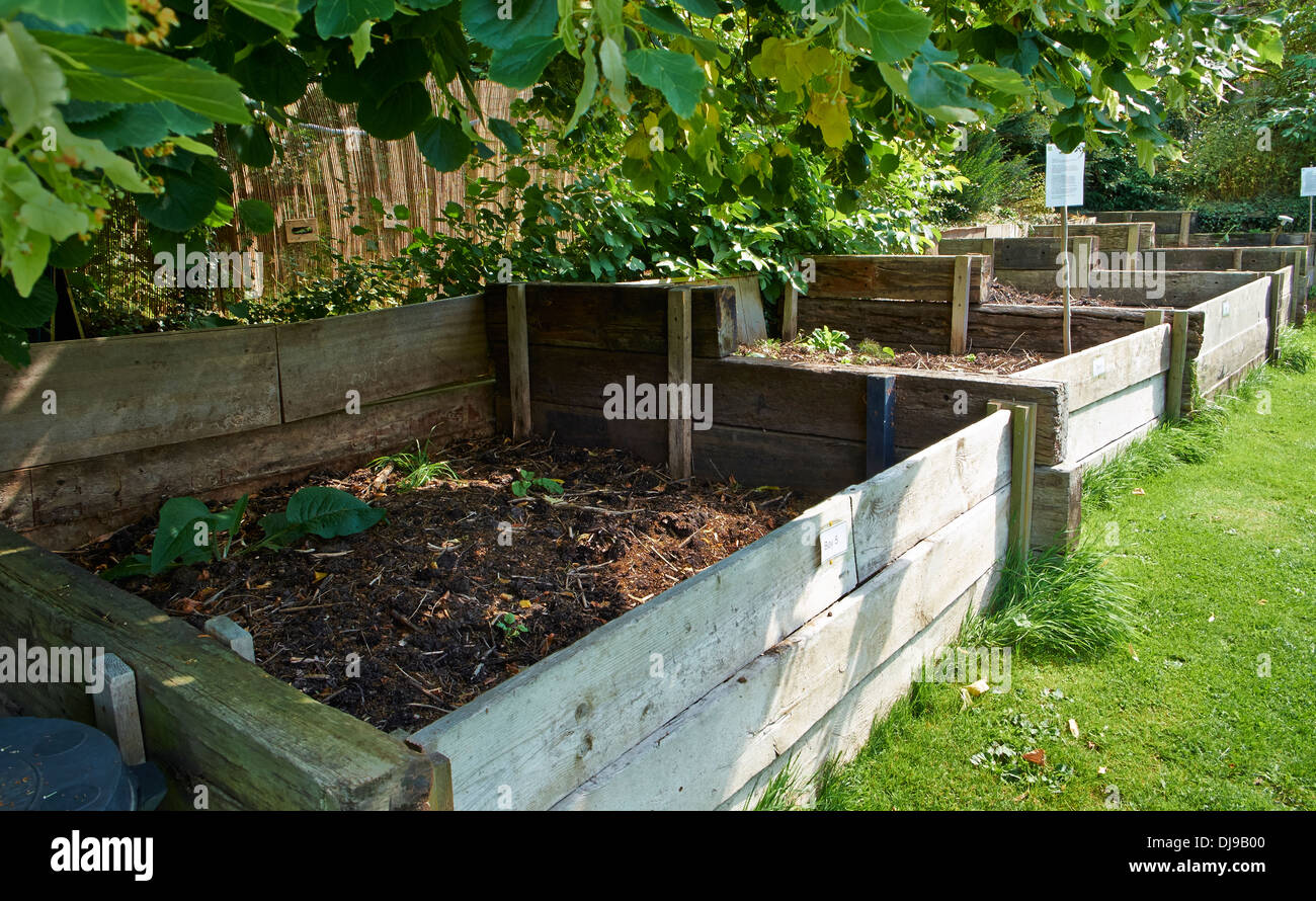 Un mucchio di composto in un paese di lingua inglese il giardino. Foto Stock