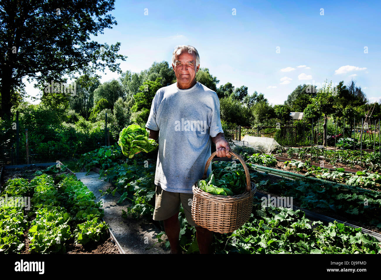 L uomo nel suo orto giardino vicino alla città Foto Stock
