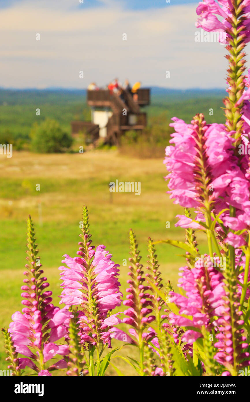 Vista del Monte Washington, Mount Agamenticus, York, Maine, Stati Uniti d'America Foto Stock