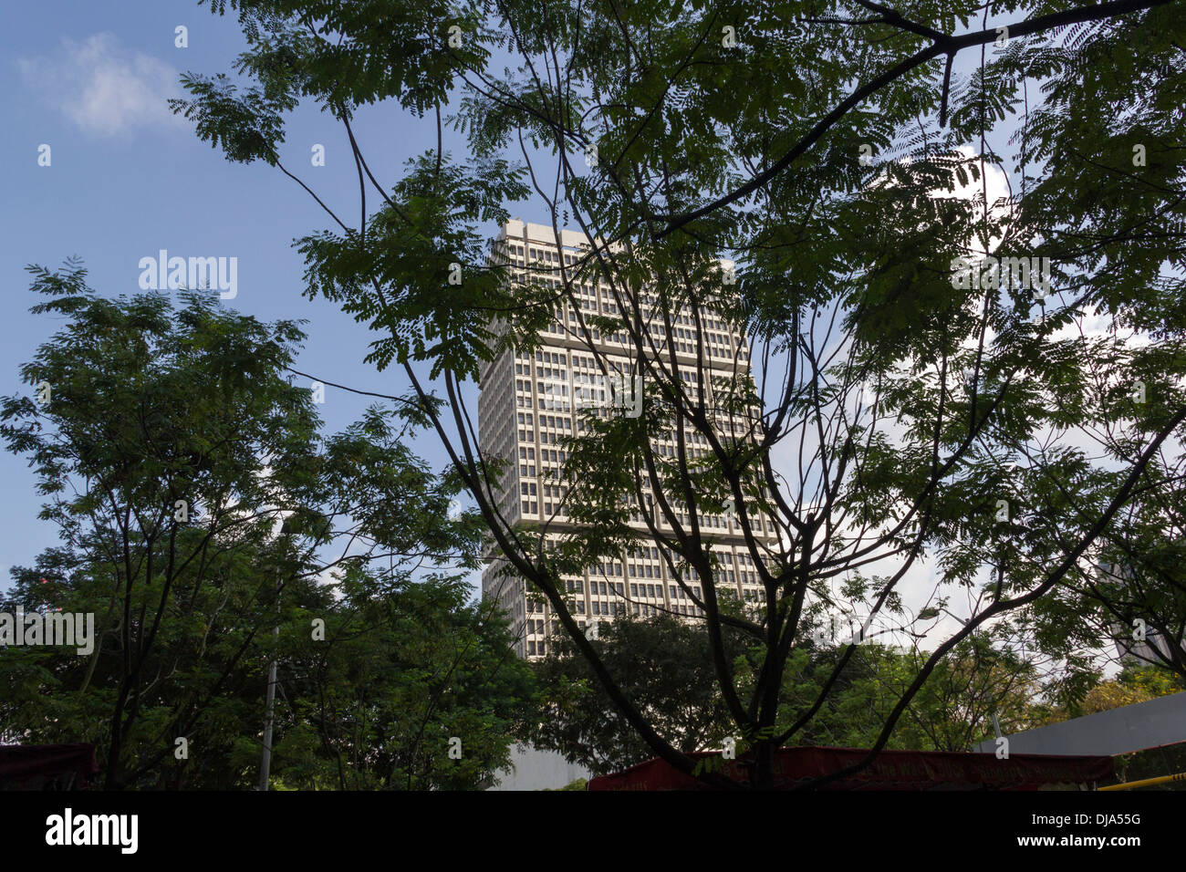 Edifici alti dietro gli alberi in Singapore, vista dalla strada e con il blu del cielo visibile Foto Stock