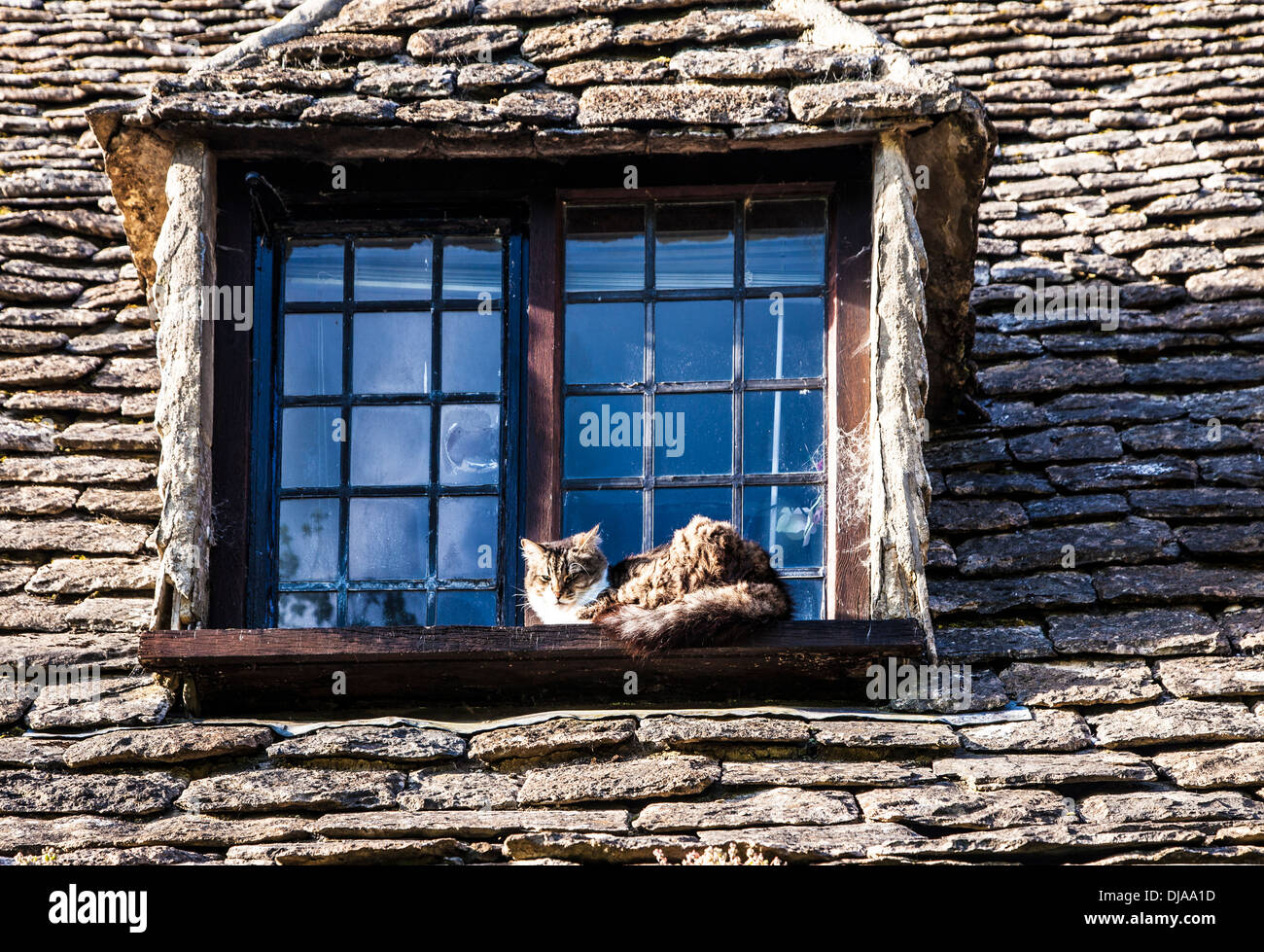 Un gatto si siede sul davanzale della finestra di uno dei famosi tessitori' cottages in Arlington Row, Bibury. Foto Stock