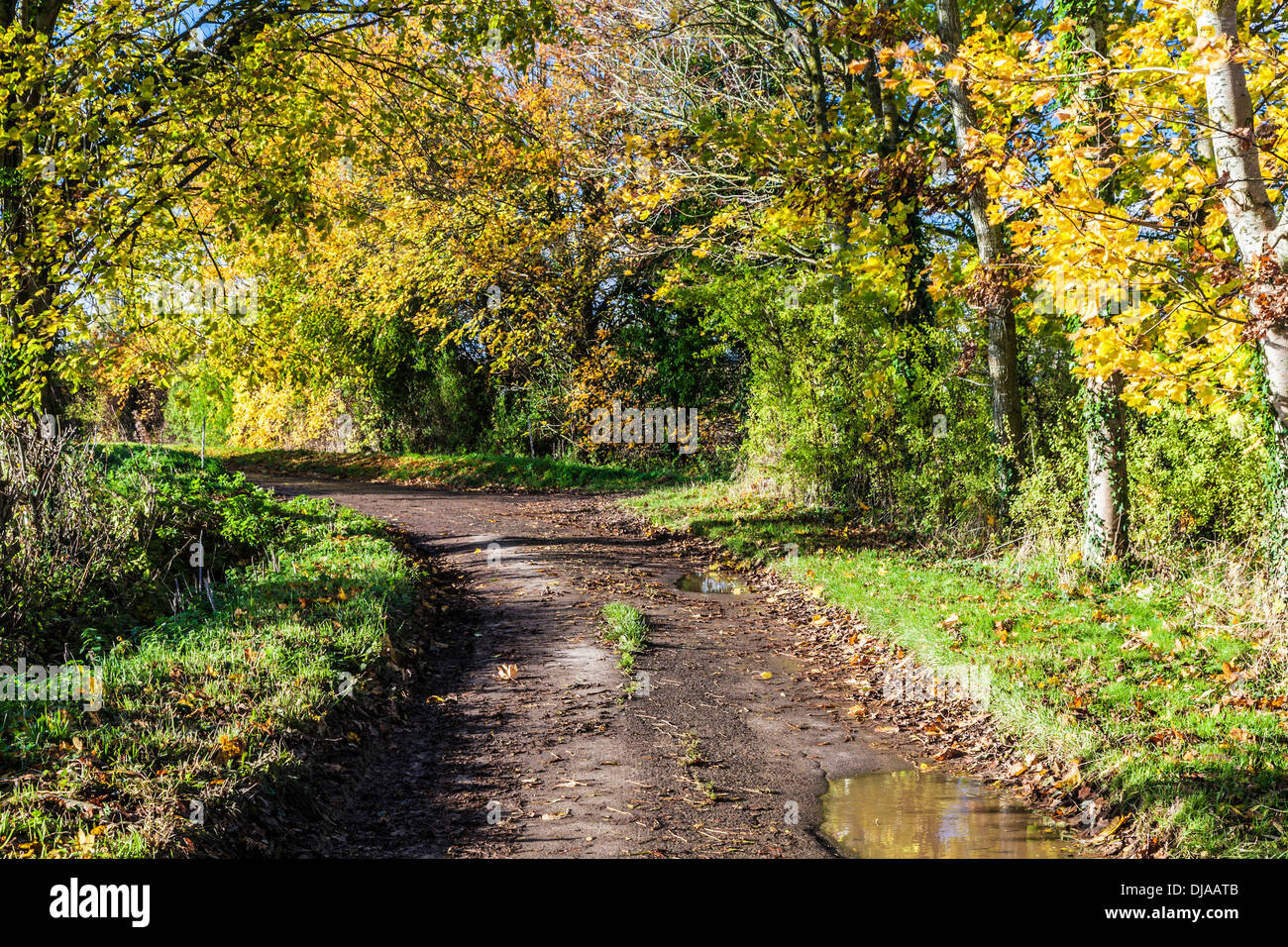 Un paese stretto via o corsia nel tardo autunno. Foto Stock