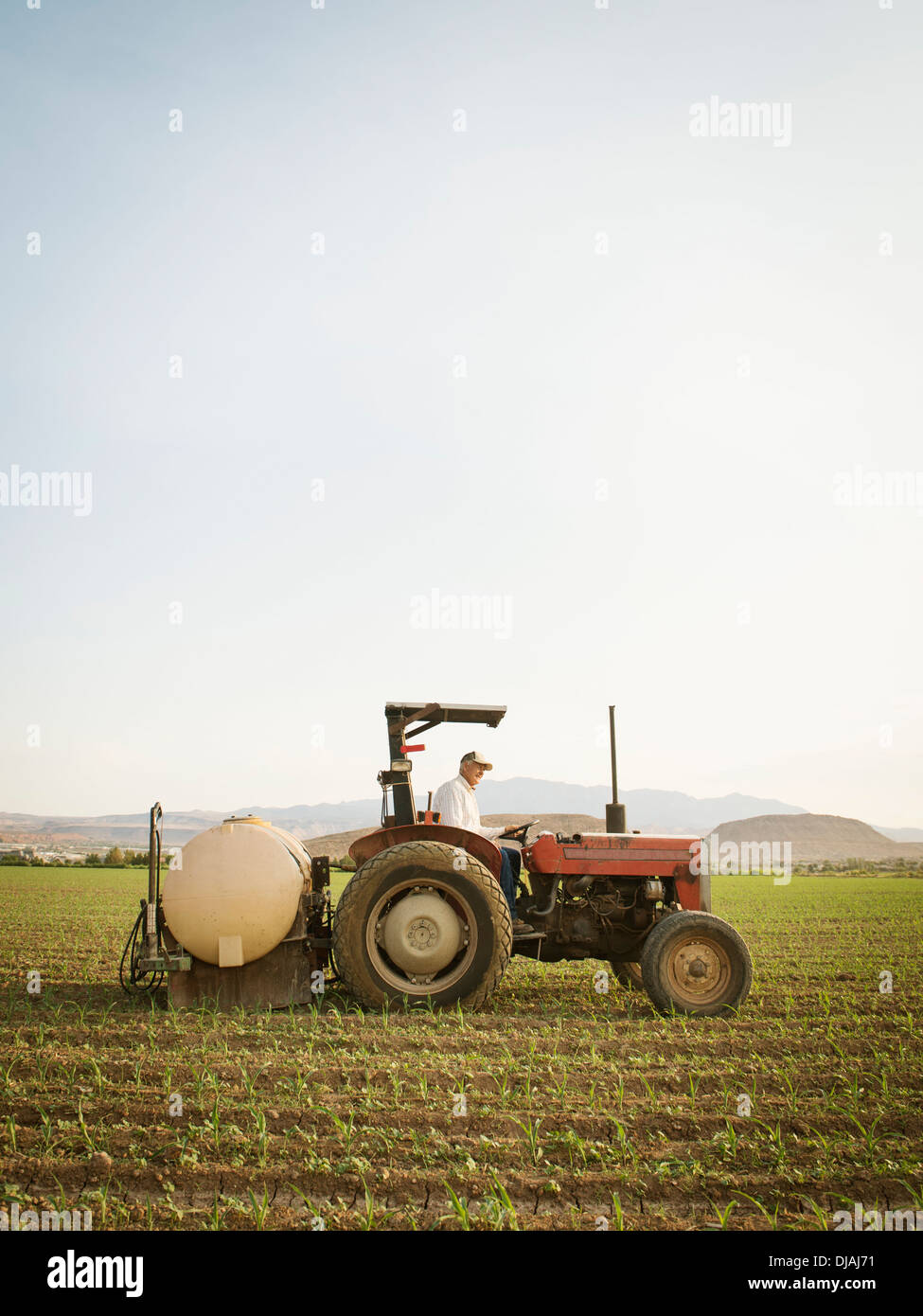 L'agricoltore caucasici di guidare il trattore nel campo di coltivazione Foto Stock