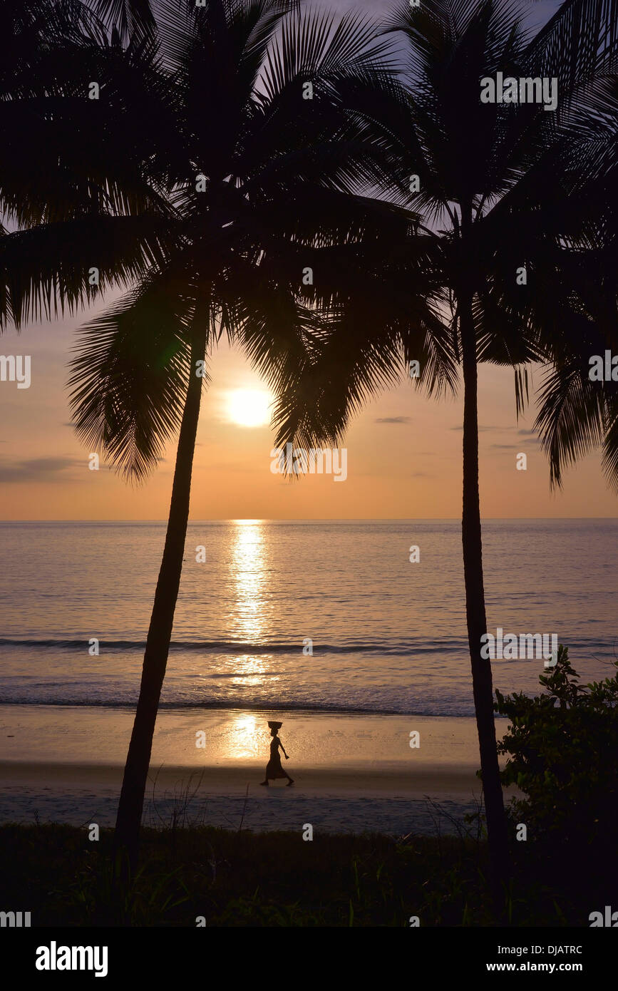 Palme al tramonto, Tokeh Beach, Tokeh, Area occidentale Regione, Sierra Leone Foto Stock