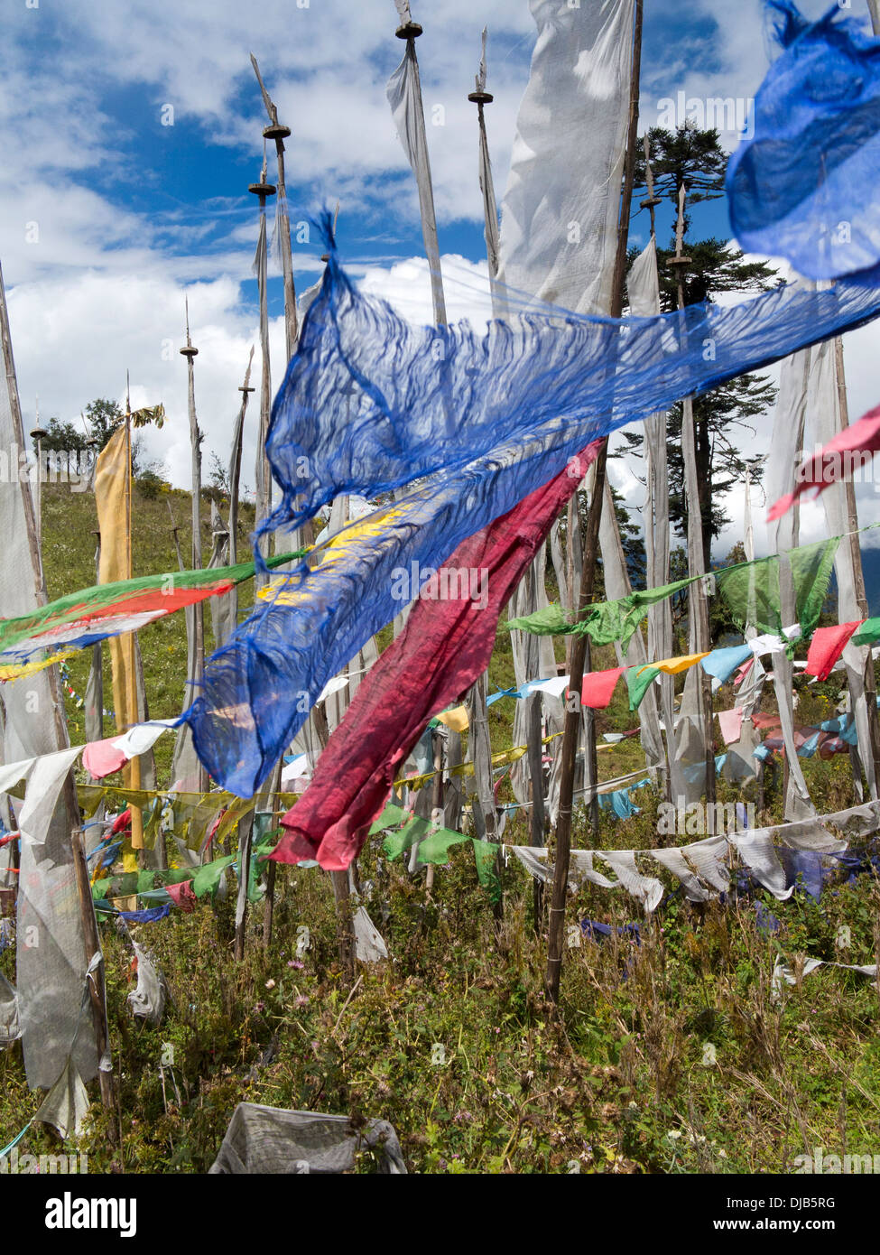 Il Bhutan, Phobjika,, Pele, La, pass, preghiera bandiere sopra la strada Foto Stock