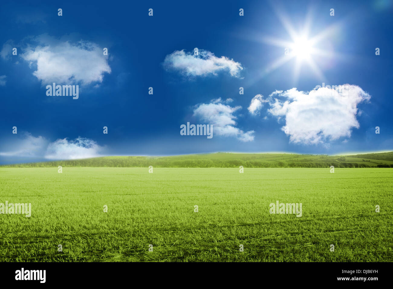 Soleggiato verde paesaggio Foto Stock