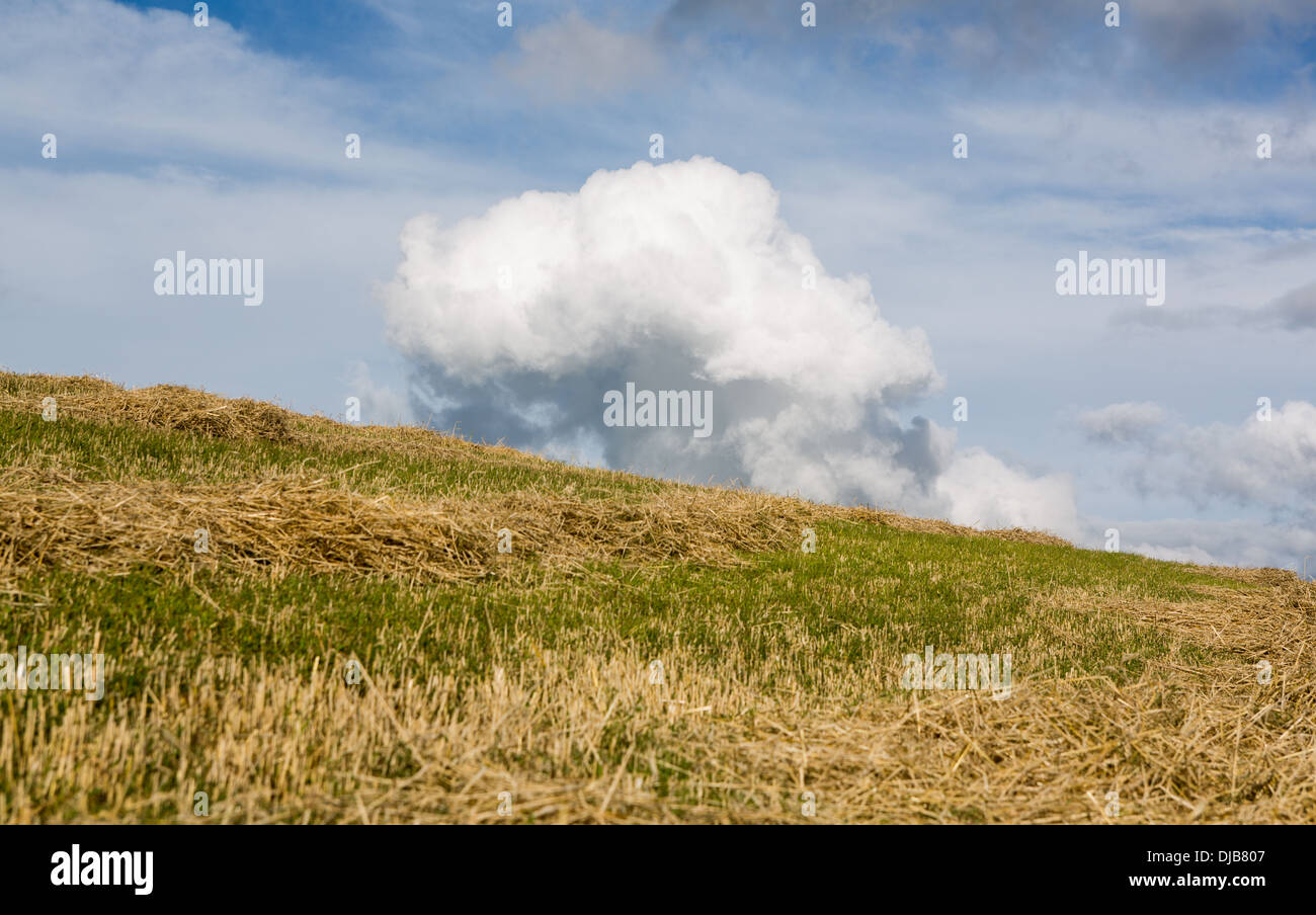 Nuvoloso sullo sfondo di campagna Foto Stock