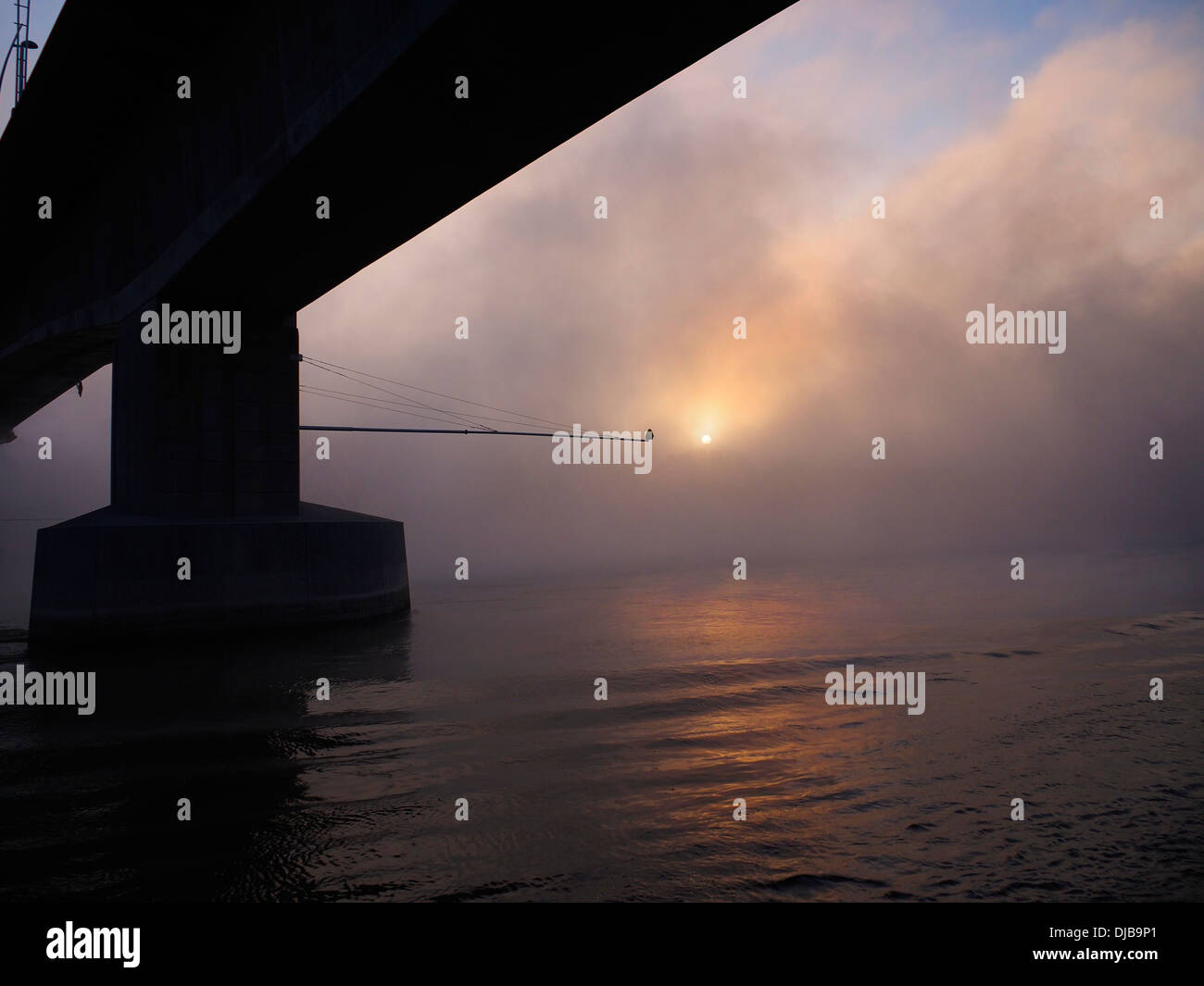 Oriente sulla alberata nebbia copriva il Fiume Reno Foto Stock