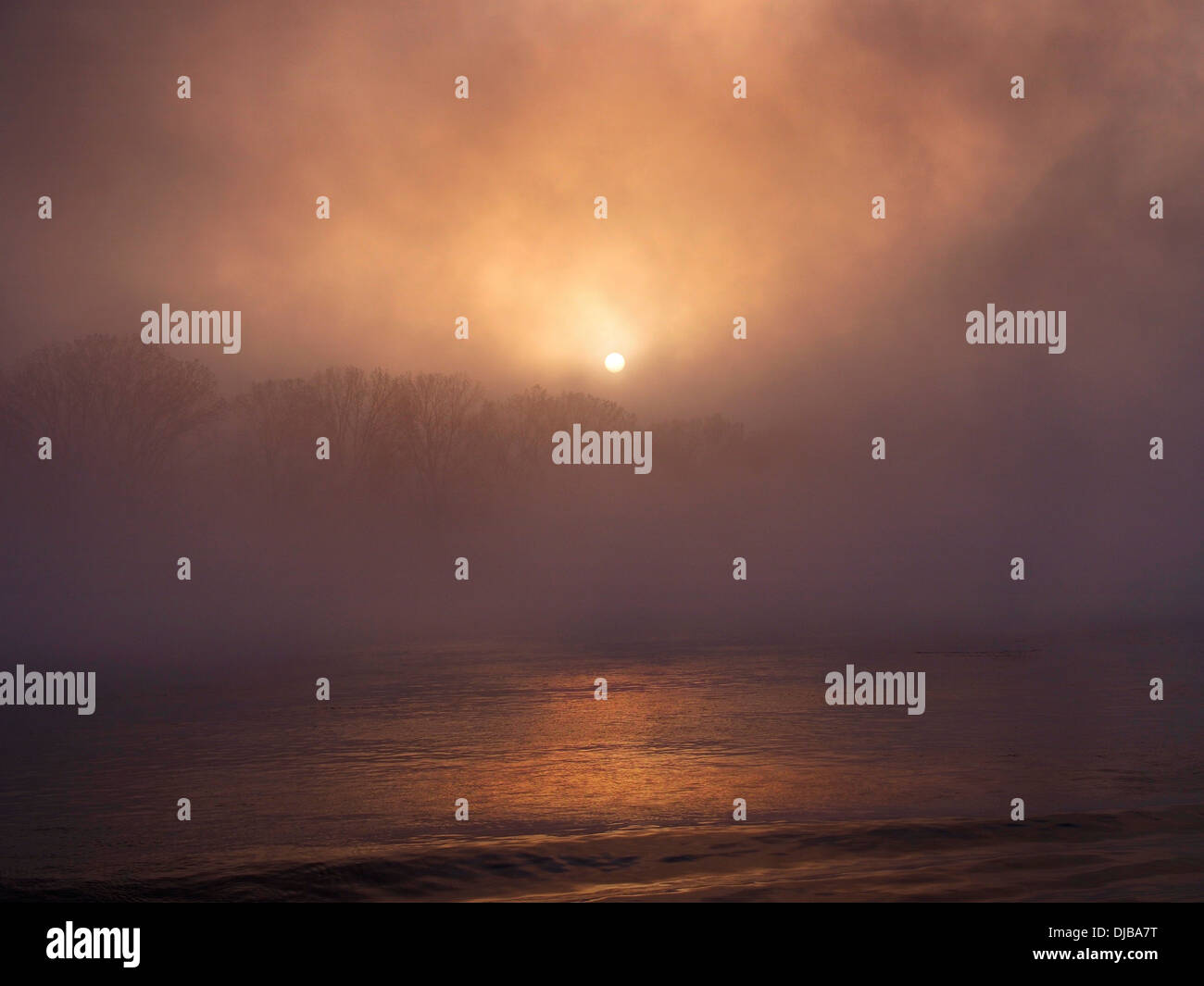 Oriente sulla alberata nebbia copriva il Fiume Reno Foto Stock
