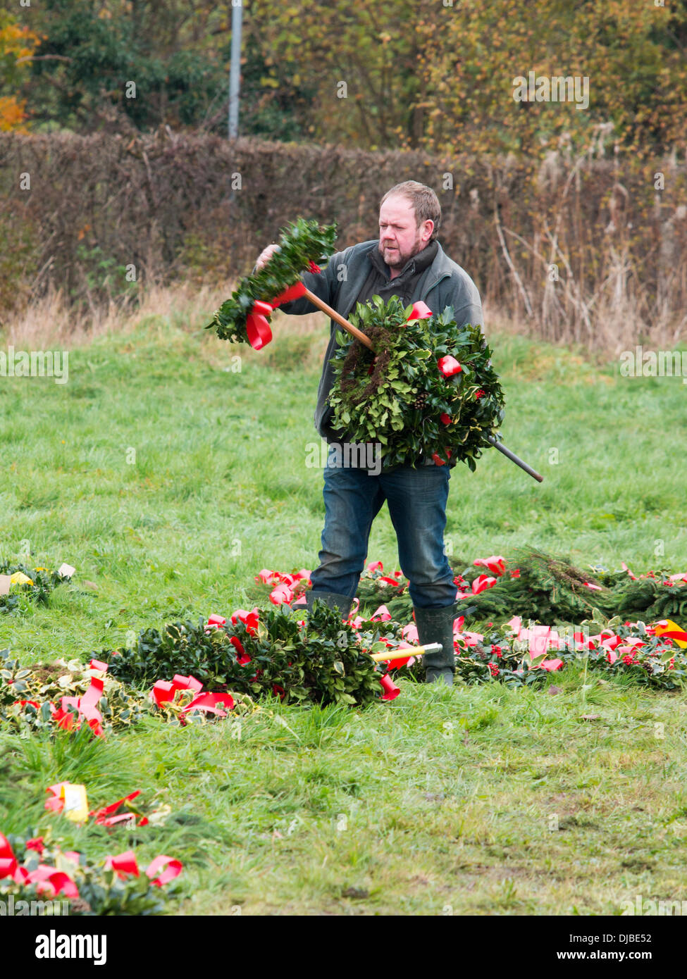 Tenbury Wells, Worcestershire, Regno Unito, 26 novembre 2013. Annuale di vischio NEL REGNO UNITO , agrifoglio albero di Natale e Natale ghirlande asta. Asta condotta da Nick Campione del campione del Nick banditori. Carni tradizionali decorazioni di Natale venduti e distribuiti in tutto il Regno Unito. Tenbury Wells tiene annualmente un Festival di vischio durante la corsa fino a Natale. Credito: Ian Thwaites/Alamy Live News Foto Stock