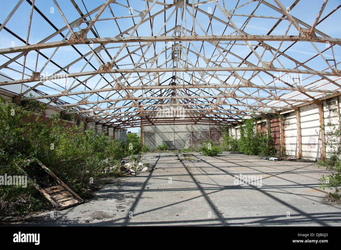 Abbandonata la fabbrica trave in acciaio del tetto crescente erbacce Foto Stock