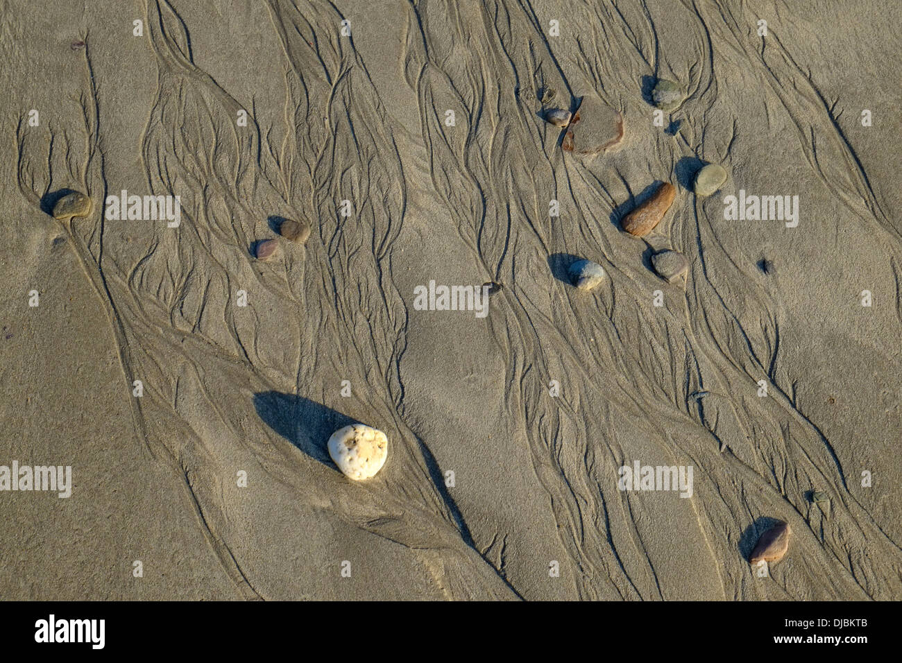 Primo piano di rivoli e ciottoli a bassa marea su una spiaggia di sabbia. South Devon, Regno Unito Foto Stock