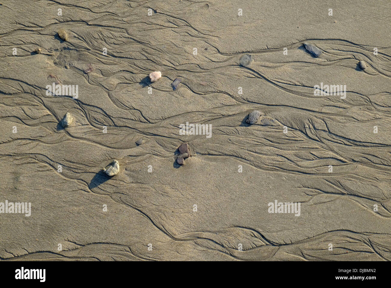 Primo piano di rivoli e ciottoli a bassa marea su una spiaggia di sabbia. South Devon, Regno Unito Foto Stock