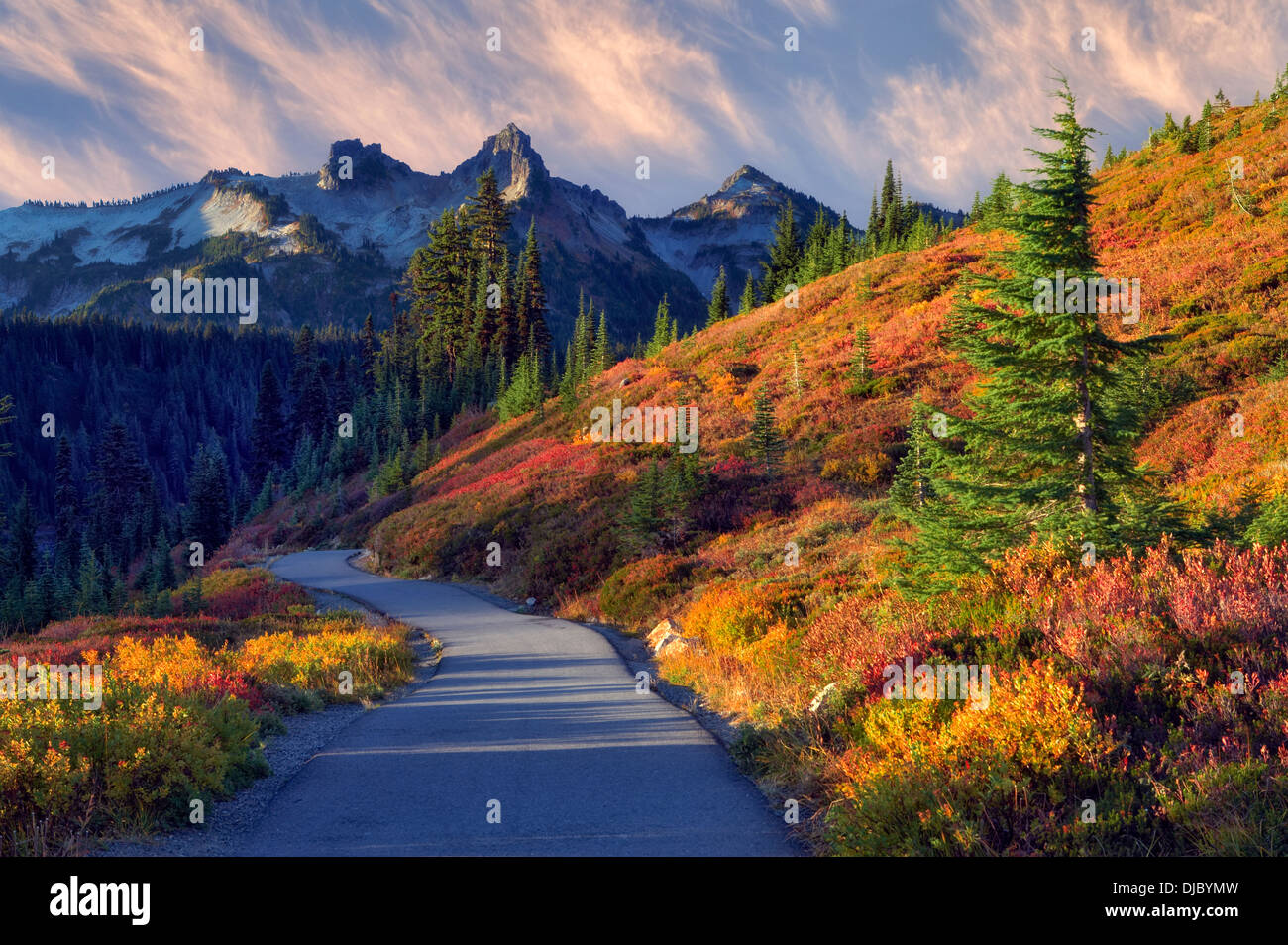 Autunno a colori e sunrise con il percorso in Mt. Rainier National Park con vista delle montagne Tatoosh. Washington Foto Stock