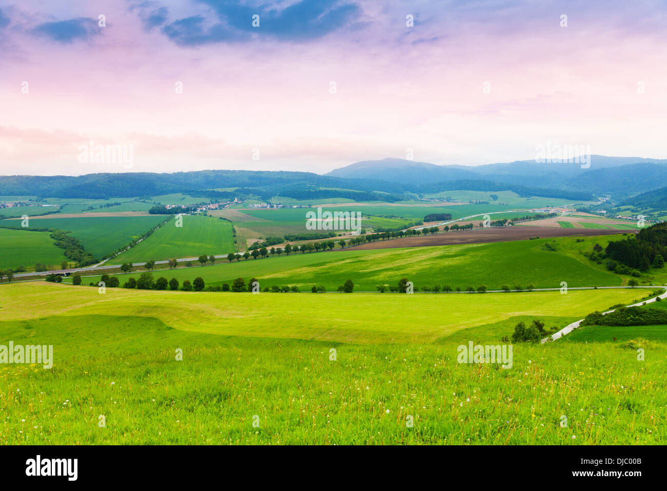 Slovacco di campi di grano colline, su strada e montagne Foto Stock