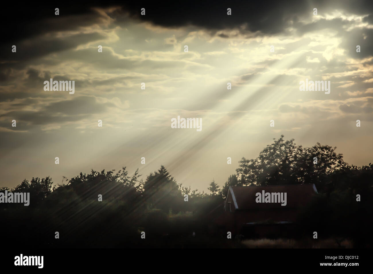 Cielo drammatico e hedge fila con raggi solari Foto Stock