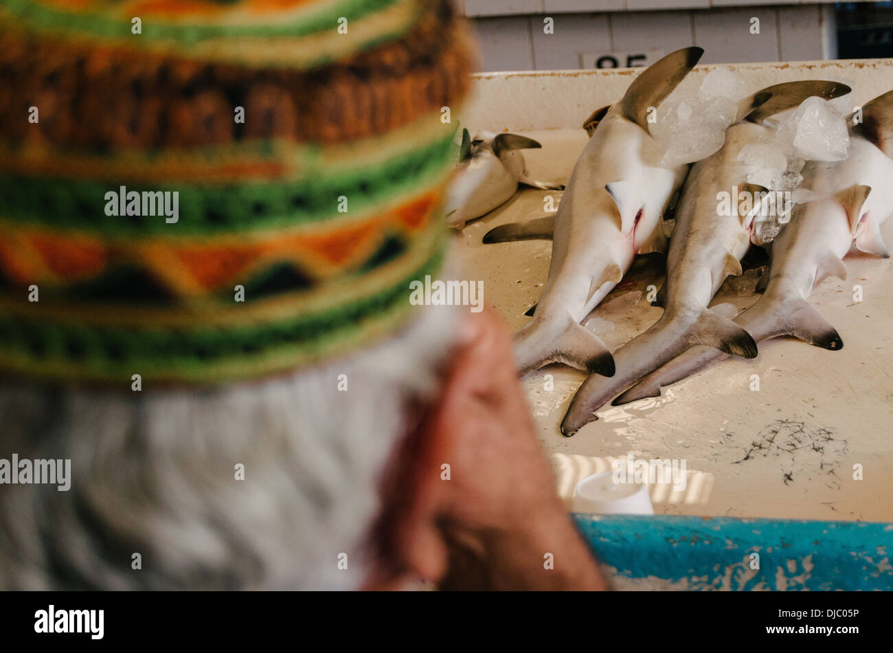 Gli squali la posa su un tavolo a Deira il mercato del pesce. Dubai, EAU. Foto Stock