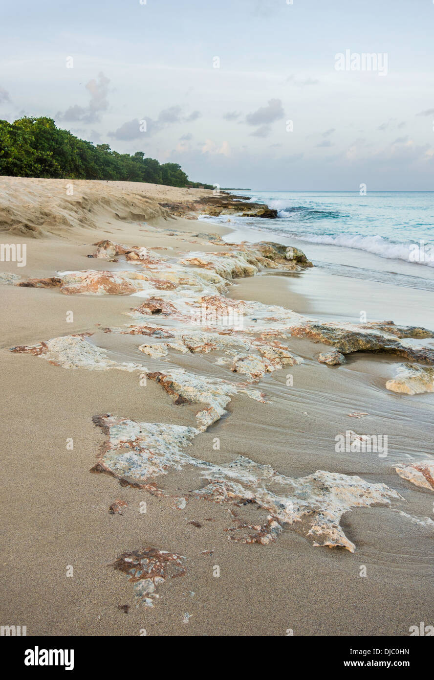 West end costa di St. Croix, U.S. Isole vergini, che mostra interessanti formazioni di roccia corallina sulla spiaggia. Foto Stock