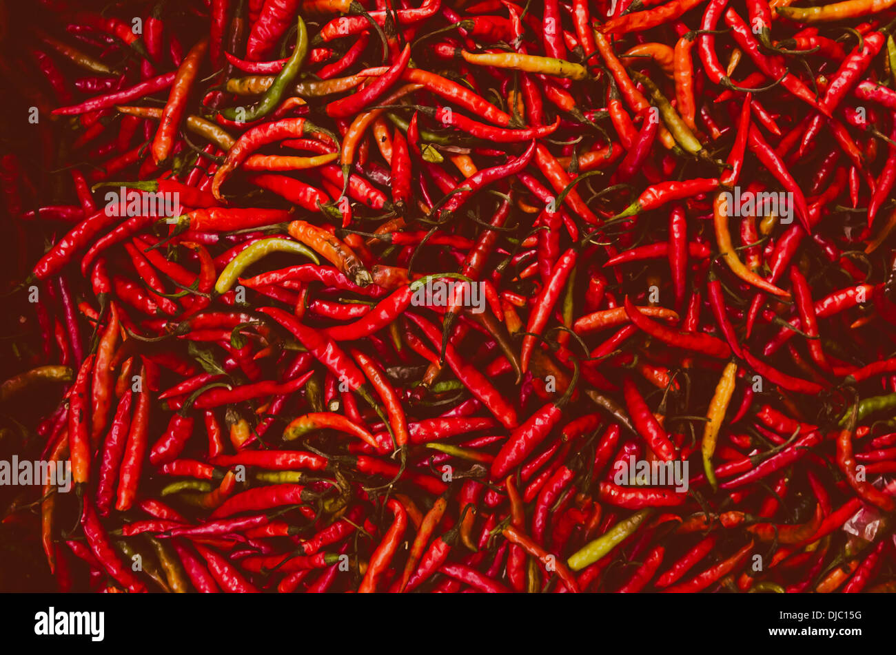 Un mazzetto di peperoni rossi in vendita su Deira mercato di frutta e verdura. Dubai, EAU. Foto Stock