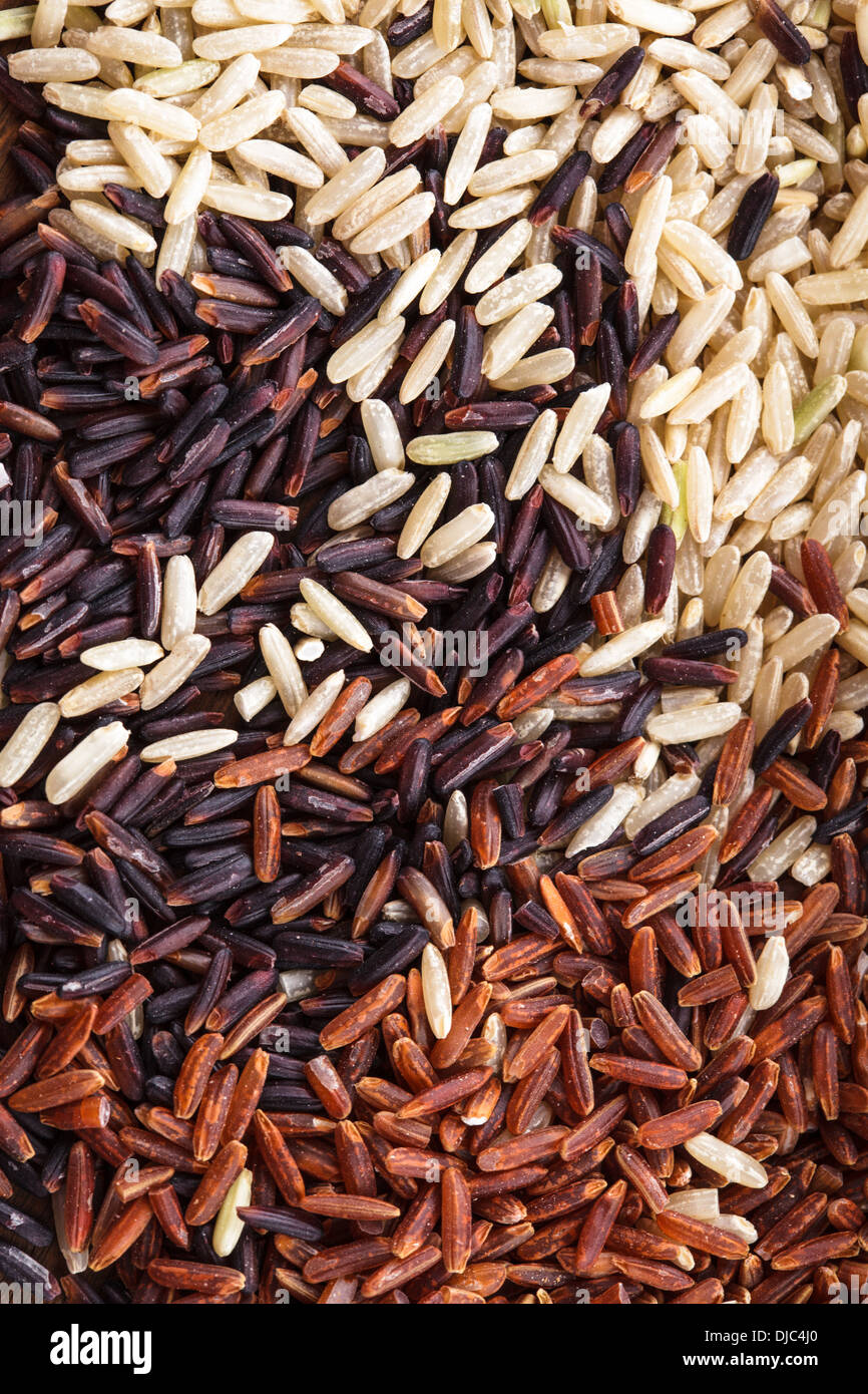 Una sana sparsi in varietà di riso: marrone, rosso e nero selvatico Foto  stock - Alamy