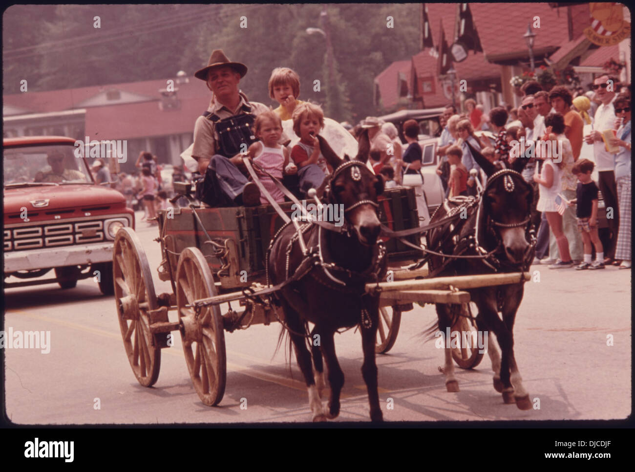 Un agricoltore della White County sfilerà una squadra di muli in miniatura lungo Main Street durante la parata del 4 luglio a Helen, Georgia. L'evento mette in risalto la tradizione agricola locale e la celebrazione della comunità. Foto Stock