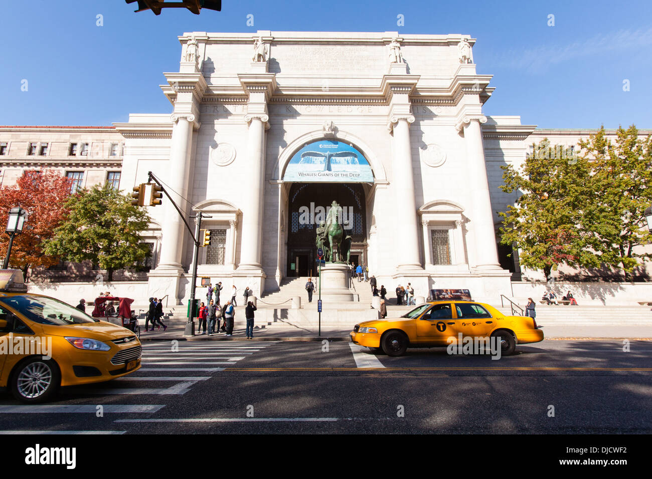 Il Museo Americano di Storia Naturale di New York City, Stati Uniti d'America. Foto Stock