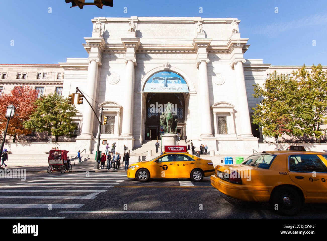 Il Museo Americano di Storia Naturale di New York City, Stati Uniti d'America. Foto Stock