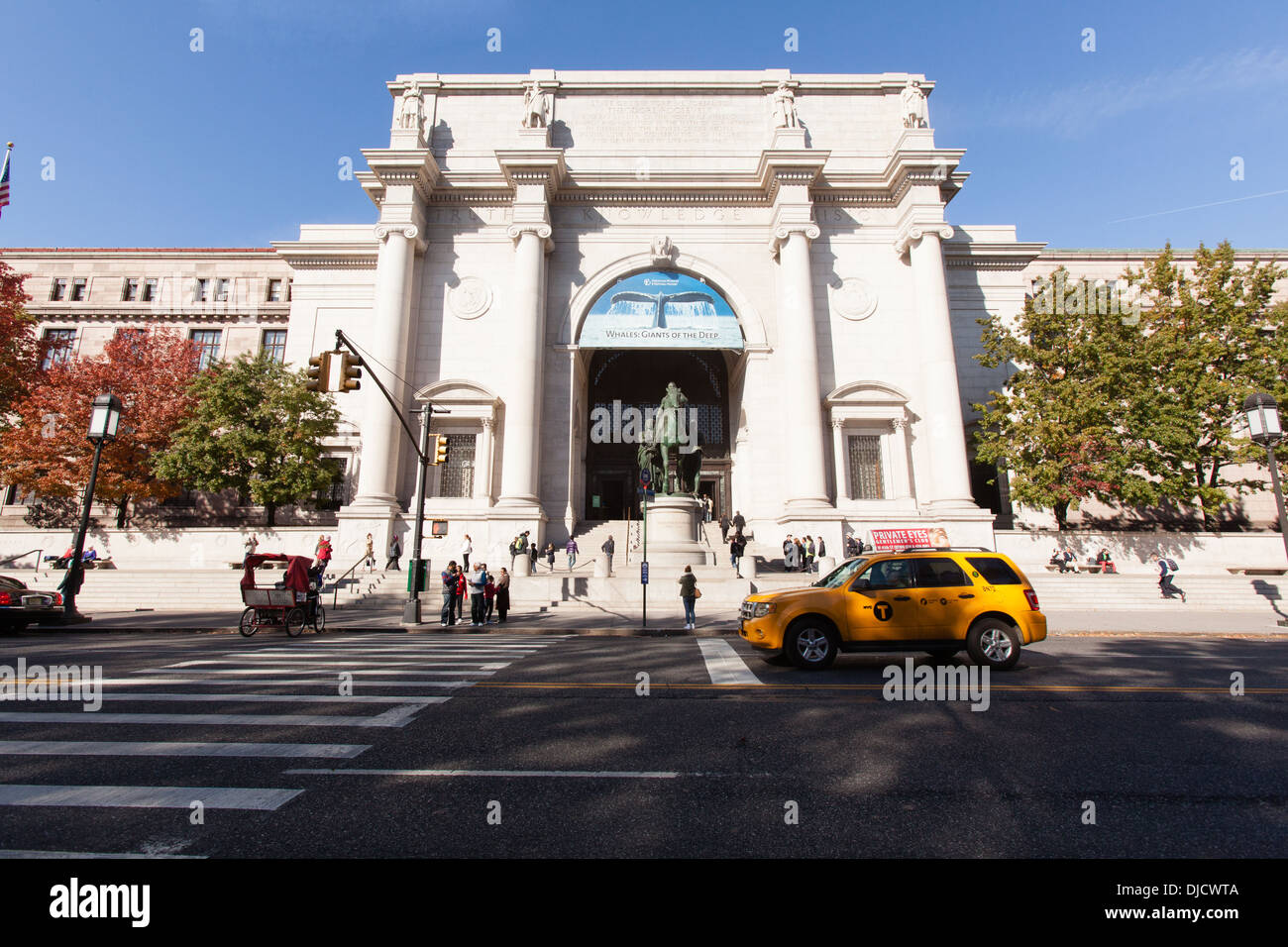 Il Museo Americano di Storia Naturale di New York City, Stati Uniti d'America. Foto Stock