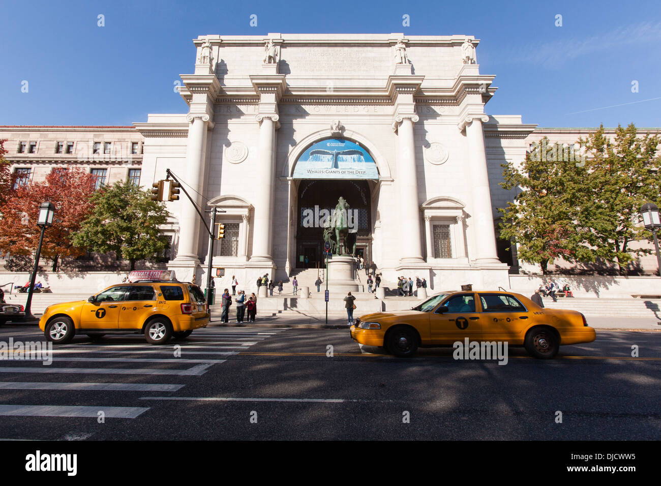 Il Museo Americano di Storia Naturale di New York City, Stati Uniti d'America. Foto Stock