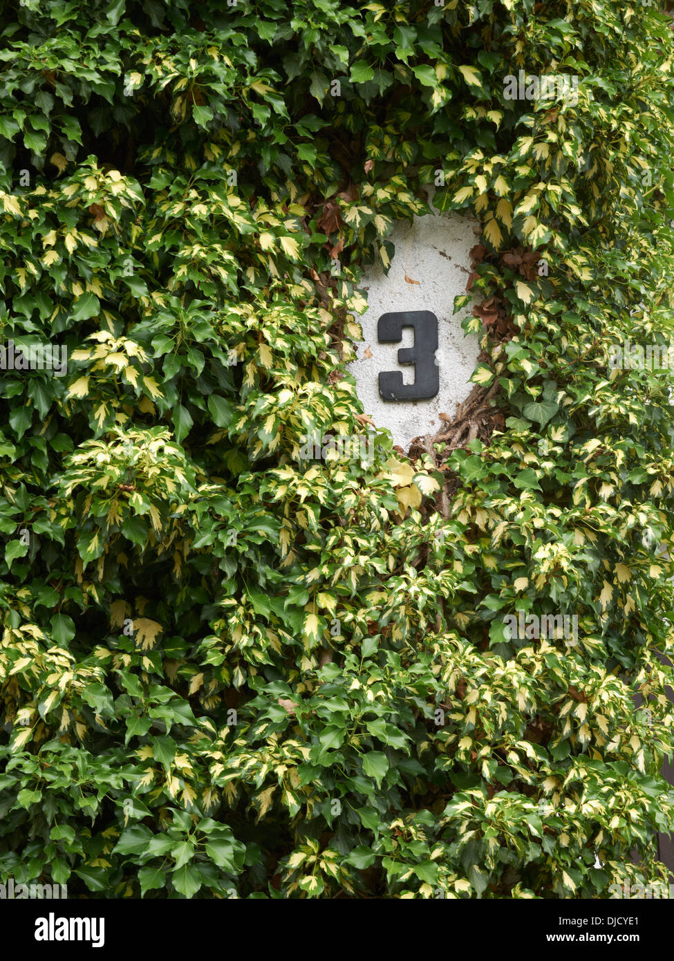 Parte della facciata ricoperta con numero civico 3 Foto Stock