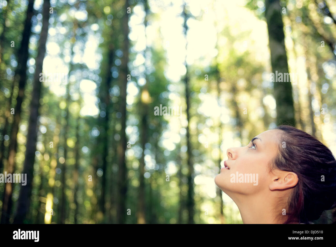 Affascinato giovane donna seduta in mezzo a una foresta Foto Stock