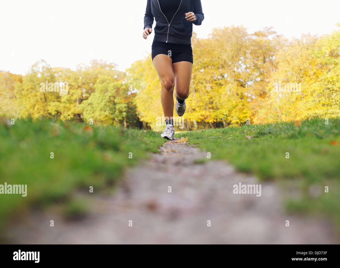 Sezione bassa immagine dell'atleta femminile in esecuzione nel parco. Giovane donna jogging e di esercizio per una buona salute. Foto Stock