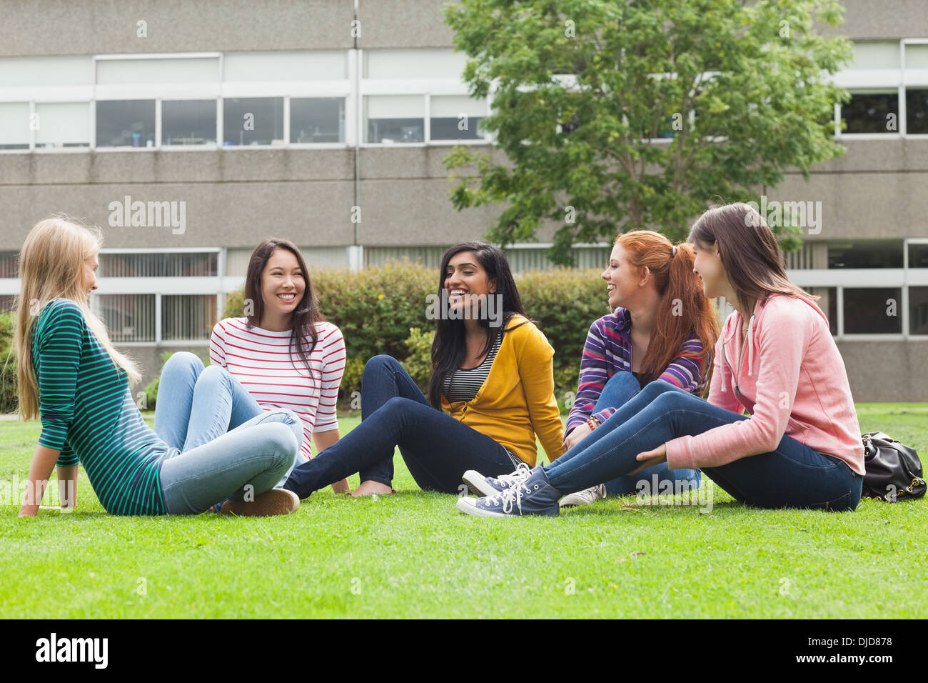 Un gruppo di studentesse in chat sul prato del campus Foto Stock