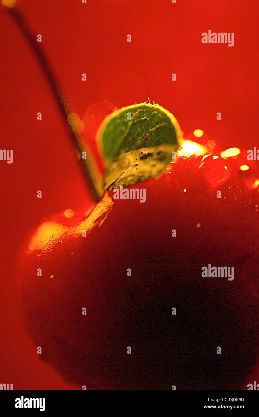Ciliegia Foto Stock