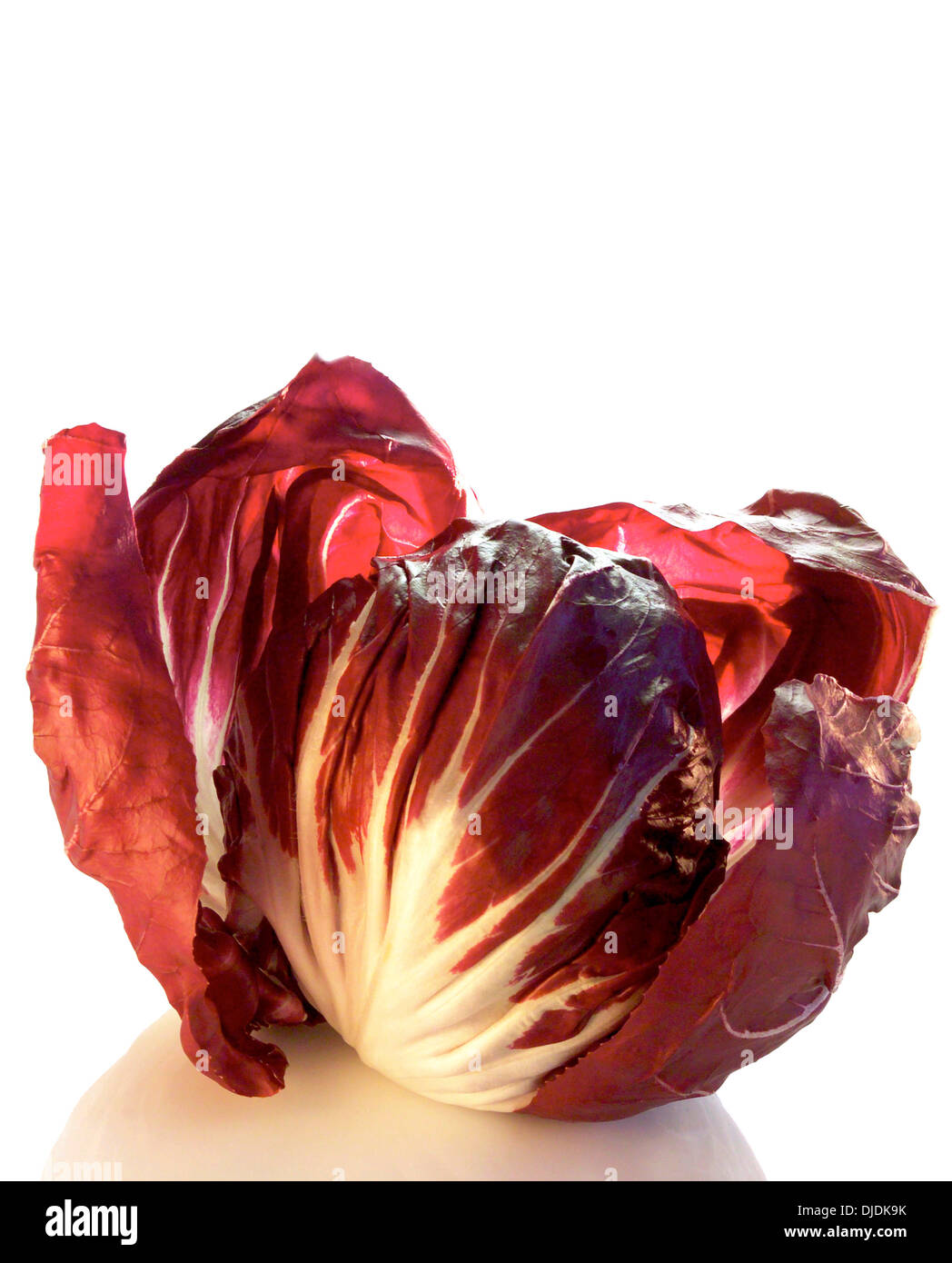 Radicchio Foto Stock