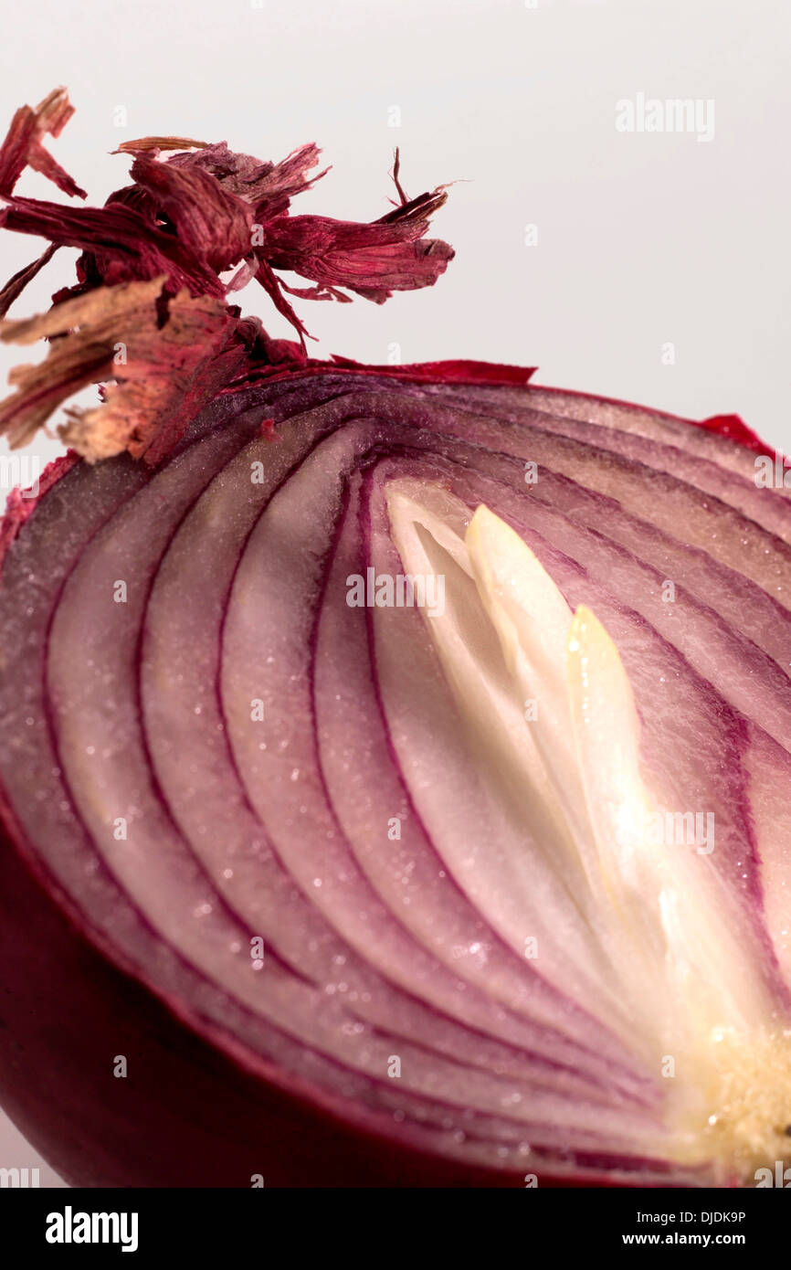 Cipolla rossa tagliata a metà Foto Stock