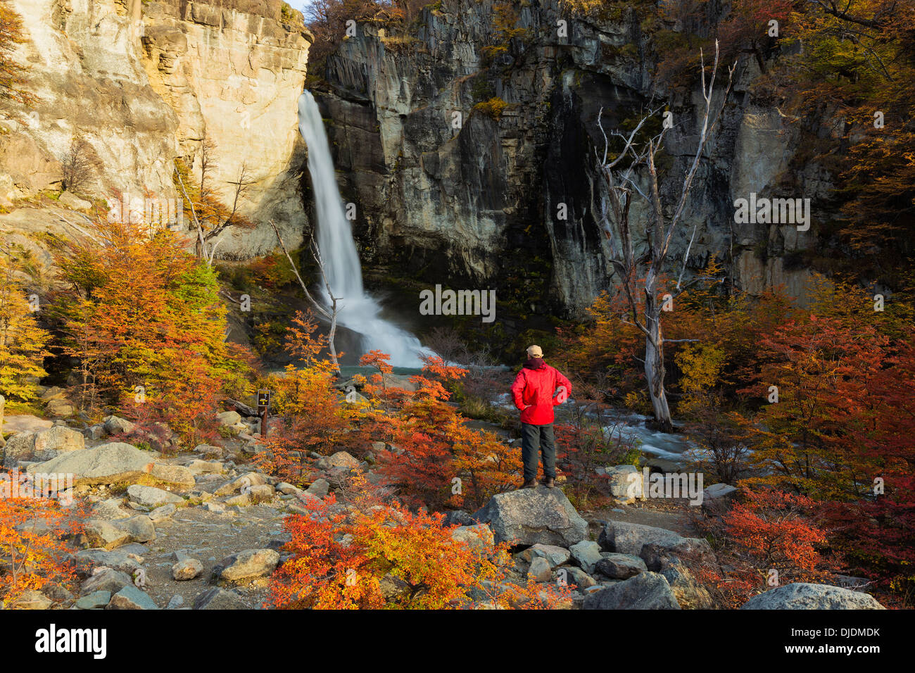 Tourist ammirando Chorrillo del Salto.El Chalt'en.Patagonia.Argentina Foto Stock