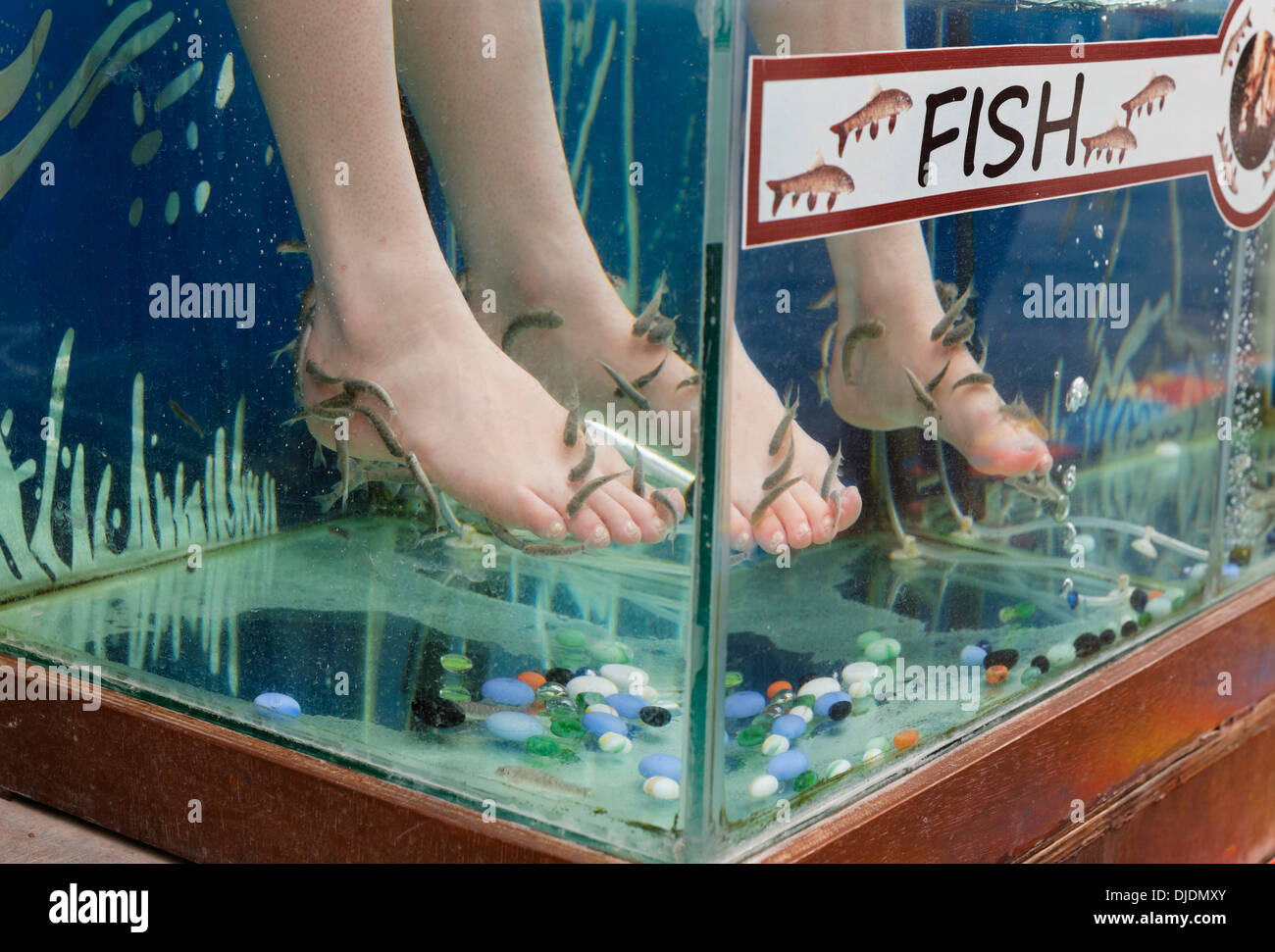 Garra Rufa terapia ittica, Sultaniye bagni termali al Lago Köyceğiz o Köyceğiz Gölü vicino a Dalyan, Muğla Provincia, turco Foto Stock