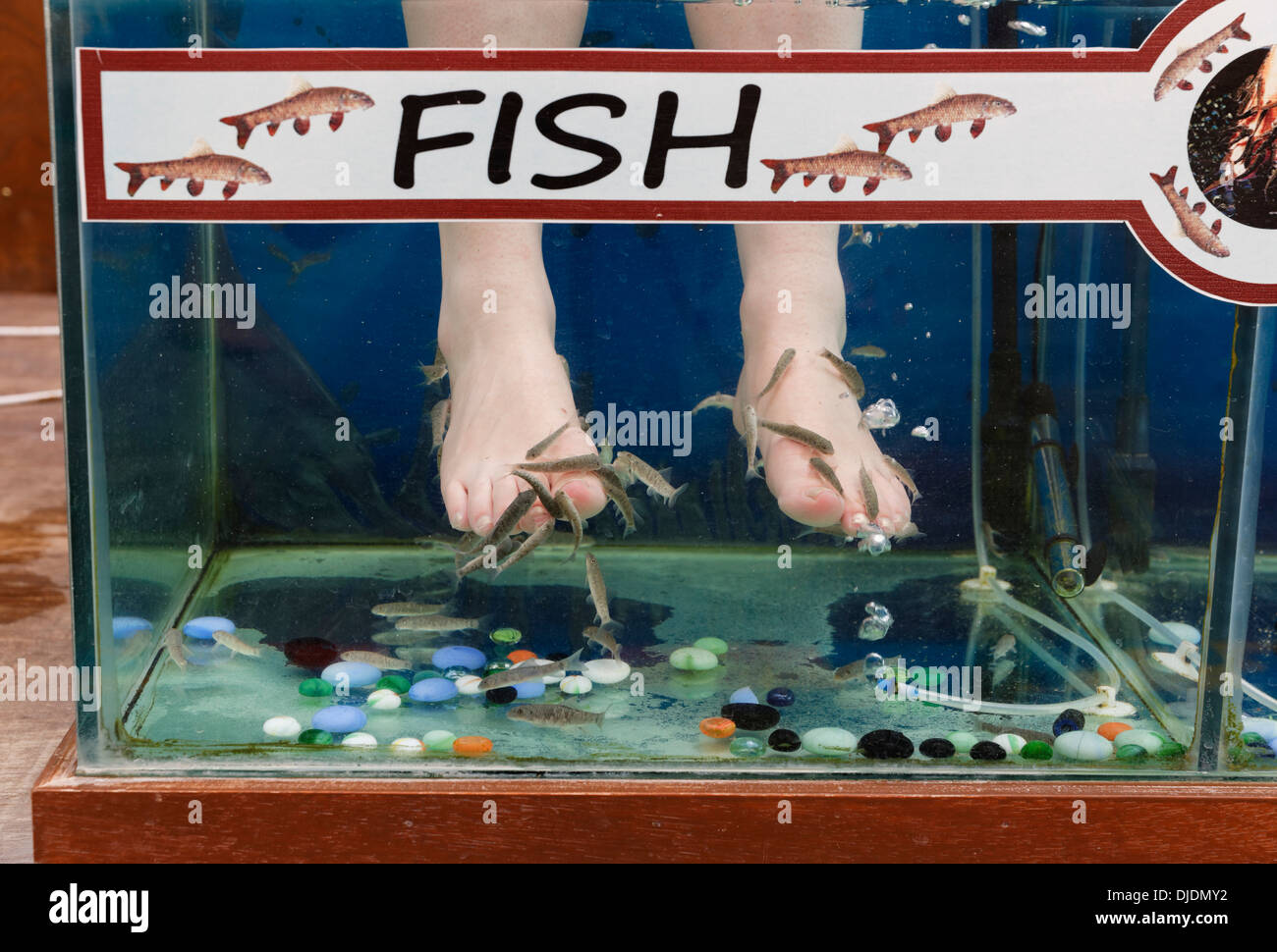 Garra Rufa terapia ittica, Sultaniye bagni termali al Lago Köyceğiz o Köyceğiz Gölü vicino a Dalyan, Muğla Provincia, turco Foto Stock