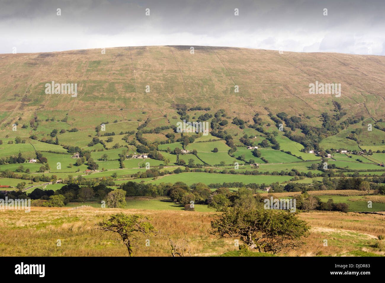 Dentdale nel Yorkshire Dales National Park, Cumbria, Regno Unito. Foto Stock