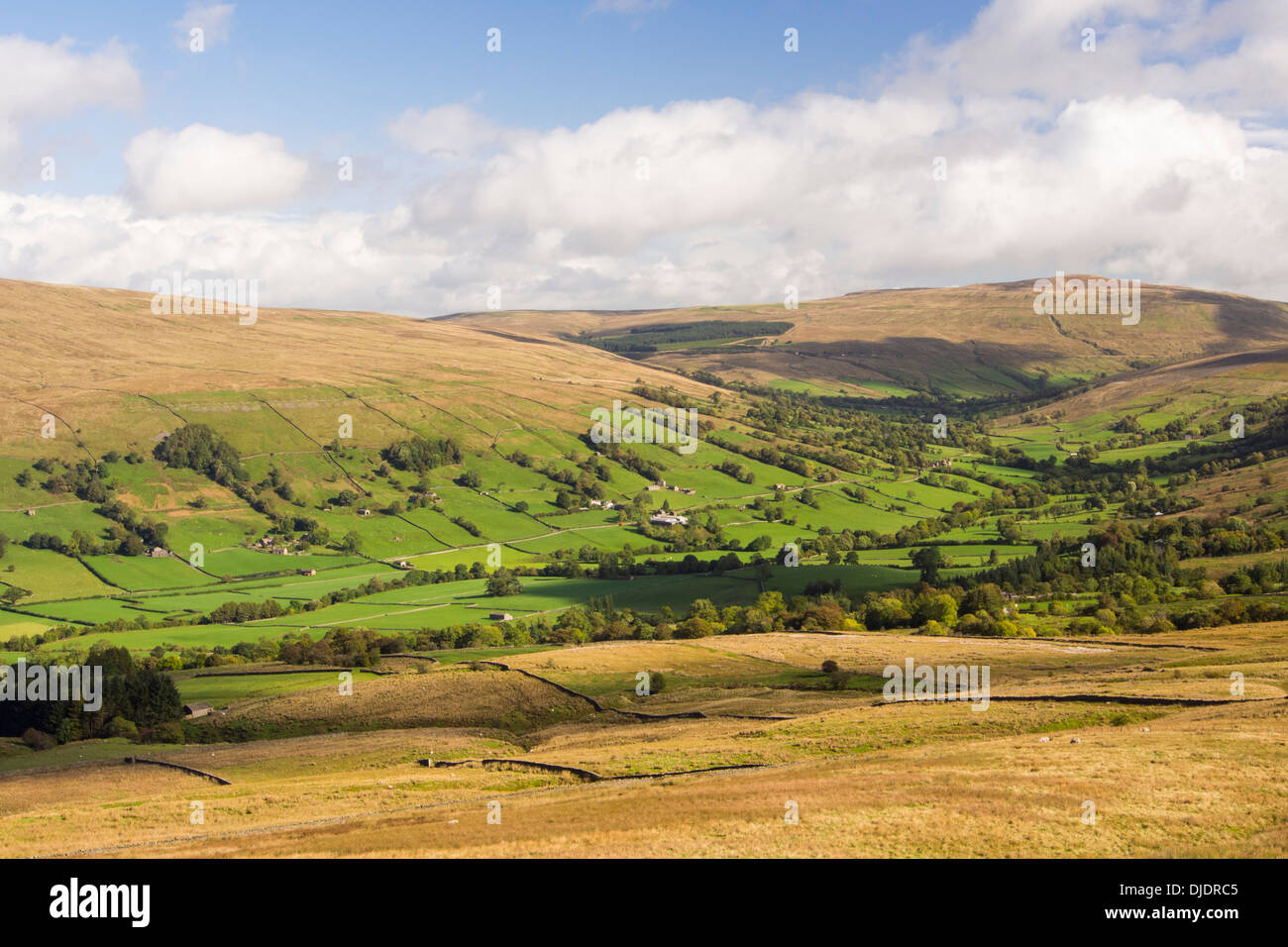 Dentdale nel Yorkshire Dales National Park, Cumbria, Regno Unito. Foto Stock