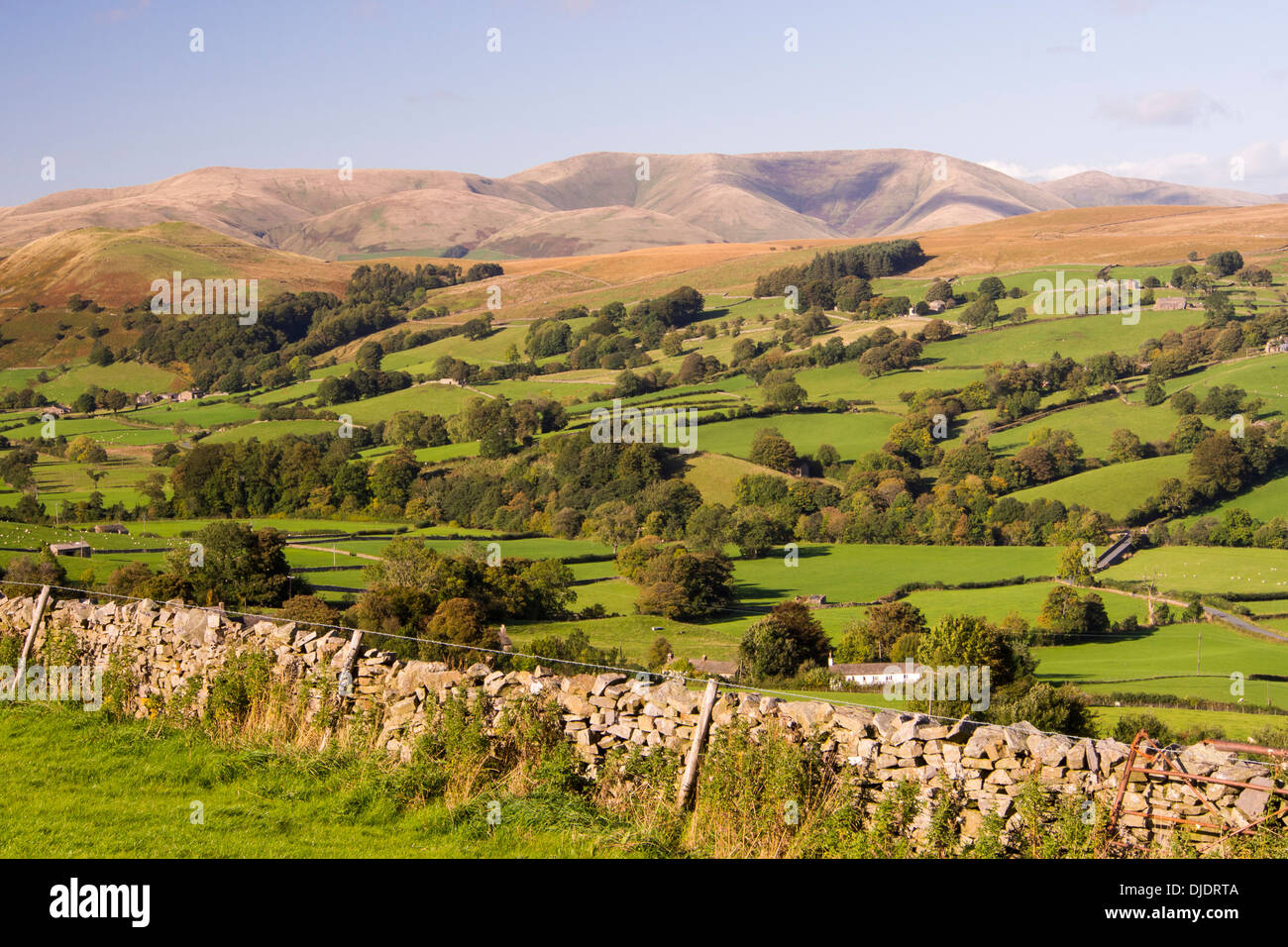 Dentdale nel Yorkshire Dales National Park, Cumbria, Regno Unito, guardando verso la Howgills. Foto Stock