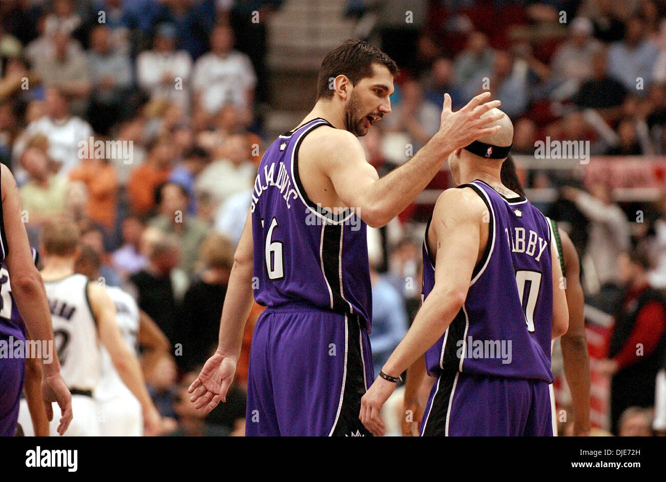 Maggio 03, 2004; Sacramento, CA, Stati Uniti d'America; Sacramento Kings " MIKE BIBBY (L) e Peja STOJAKOVIC celebrare. Mike Bibby e Sam Cassell in scena un classico showdown nel quarto trimestre, quasi corrispondenti a ciascun altro colpo per colpo, ma era Bibby's Kings che è emerso con un 104-98 vincere nel gioco 1 del loro West semifinale serie. Bibby ha totalizzato 10 dei suoi 33 punti nel periodo finale mentre Cassell sa Foto Stock
