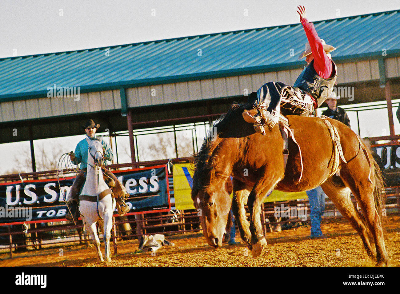 Aug 05, 2004; Austin, TX, Stati Uniti d'America; Rodeo bareback riding è uno dei più pericolosi sport nel mondo coinvolgendo uomini e bestie. WES STEVENSON di Kaufman, Texas aveva un campionato del mondo di corsa in 2004 come concorrente di un Pro Rodeo Cowboy Associazione evento. Egli tutte ugualmente si classifica nella top 5 in tutto il mondo. Foto Stock