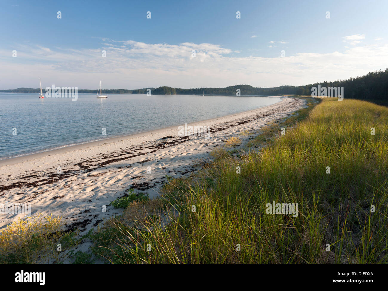 Una lunga e splendida mezzaluna di sabbia bianca e di erba a Spiaggia Grande, Roque Island, Maine, Stati Uniti d'America e numerose barche a vela ancorate vicino ad essa Foto Stock