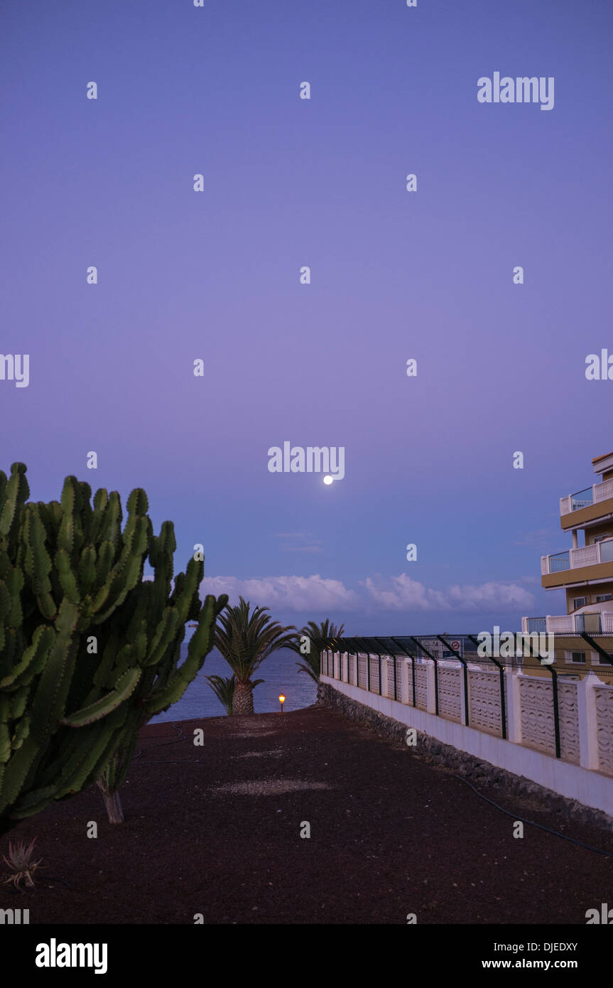 Luna piena impostazione nel cielo viola all'alba con cactus e blocco di appartamenti con recinto di sicurezza, Playa San Juan, Tenerife, Canarie Foto Stock